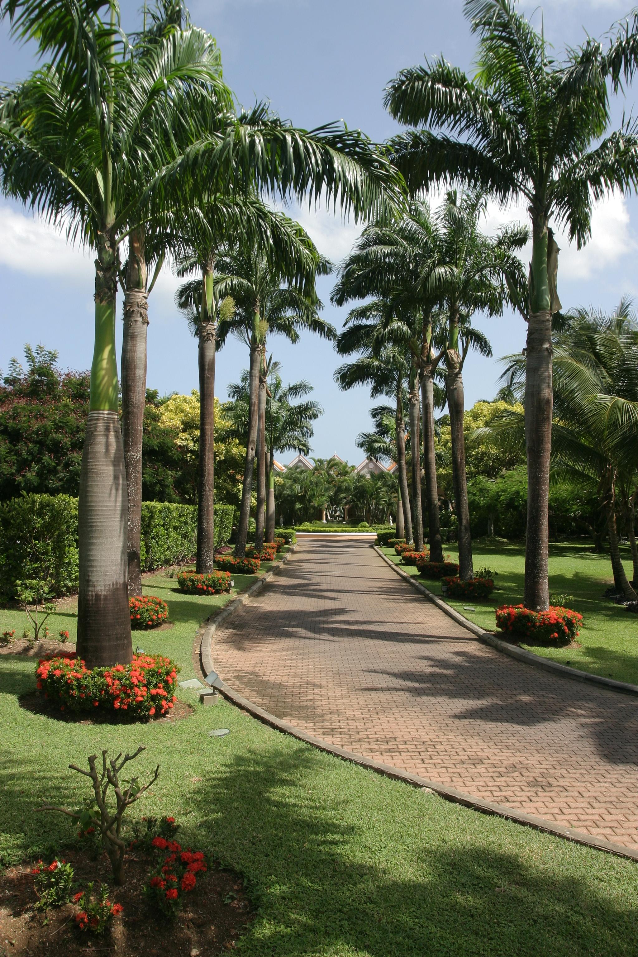Coco Reef Resort & Spa Crown Point Extérieur photo